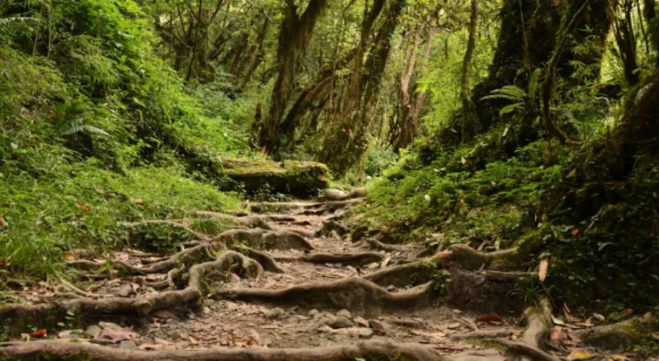 How to Prepare for a Solo Annapurna