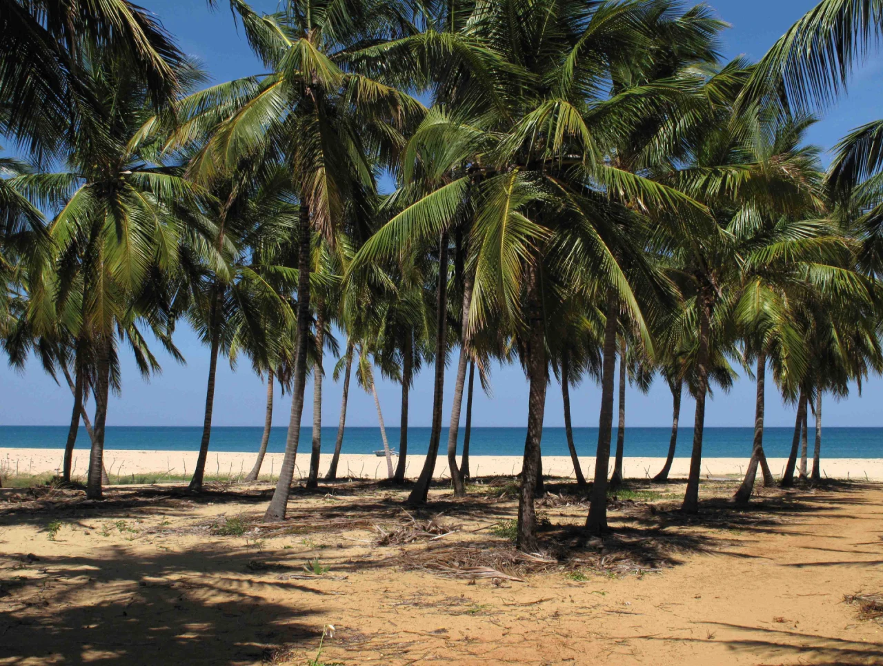 Top Beaches in Sri Lanka