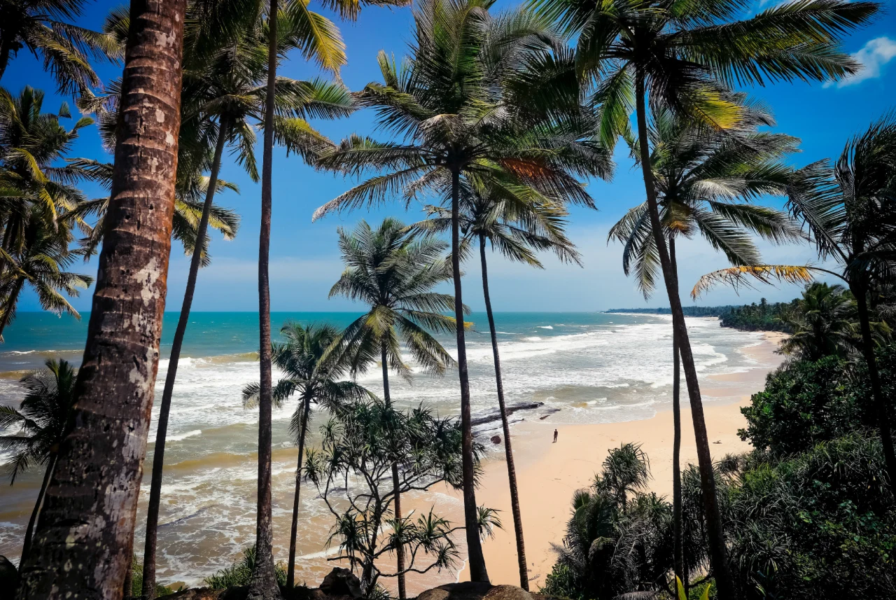 Top Beaches in Sri Lanka