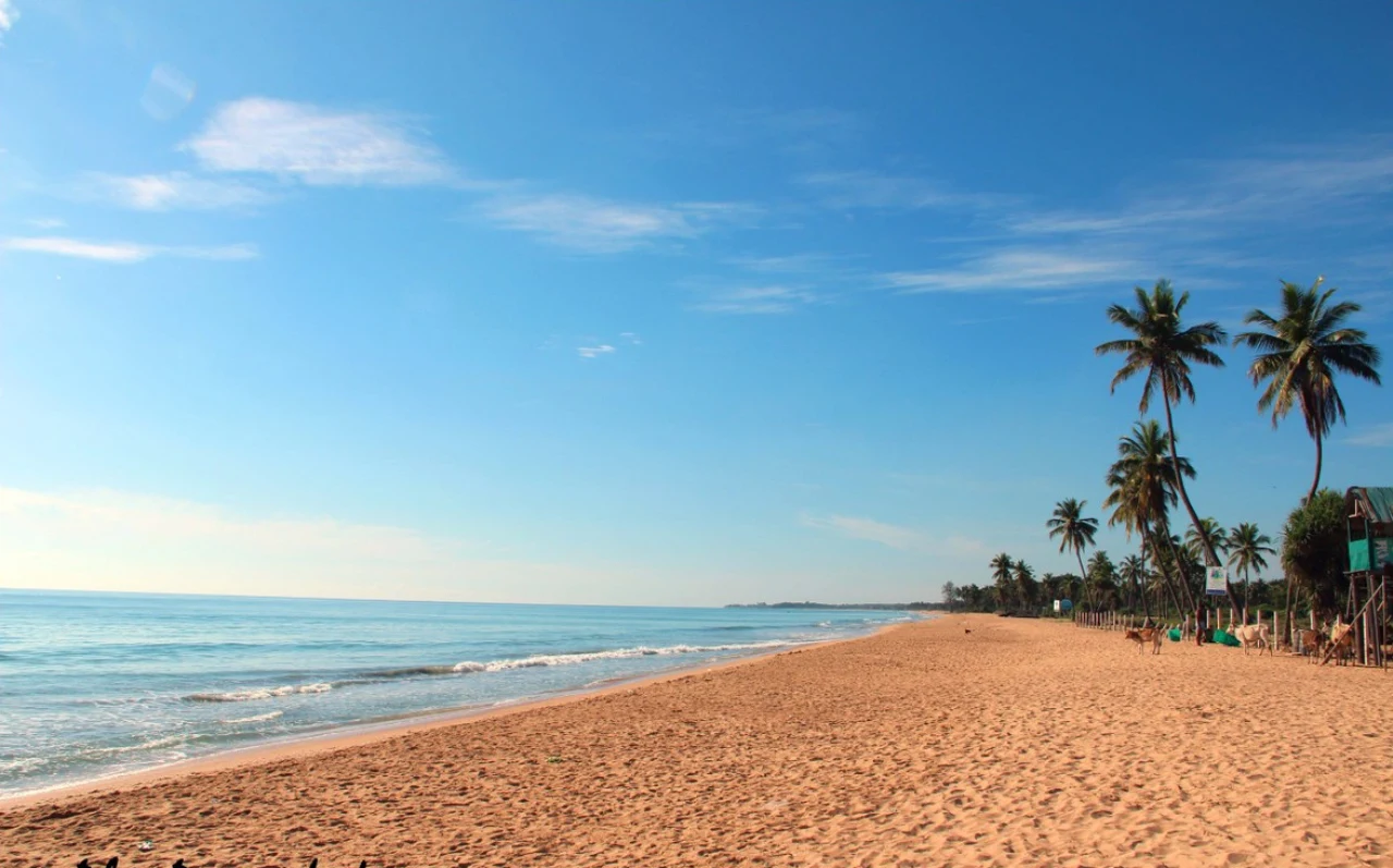 Top Beaches in Sri Lanka