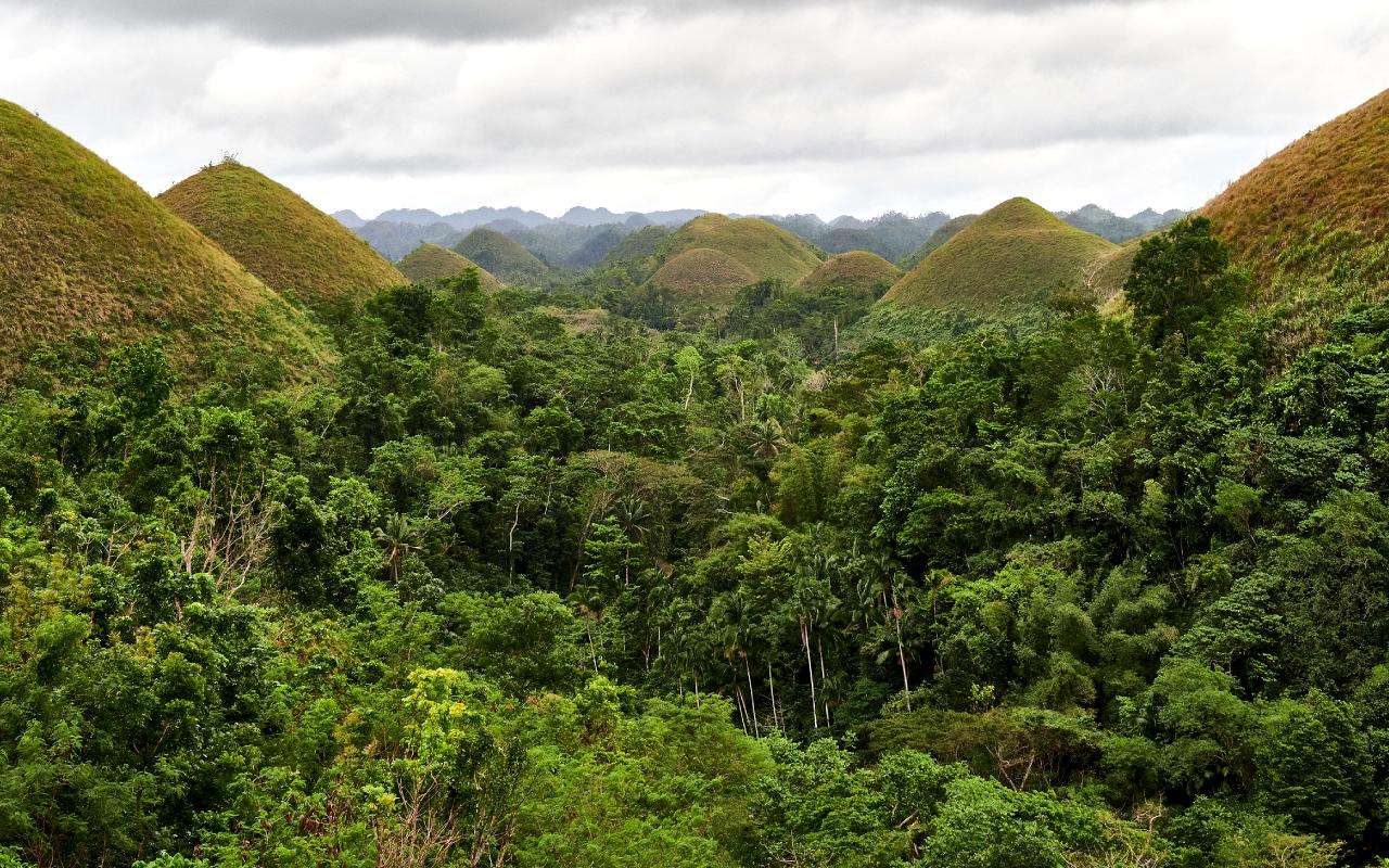 Chocolate Hills