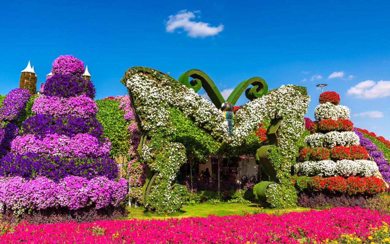 Butterfly Garden