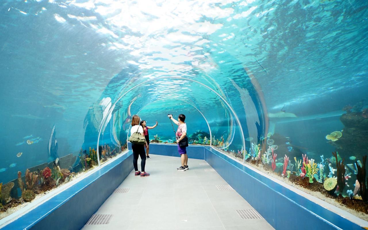 Cebu Ocean Park