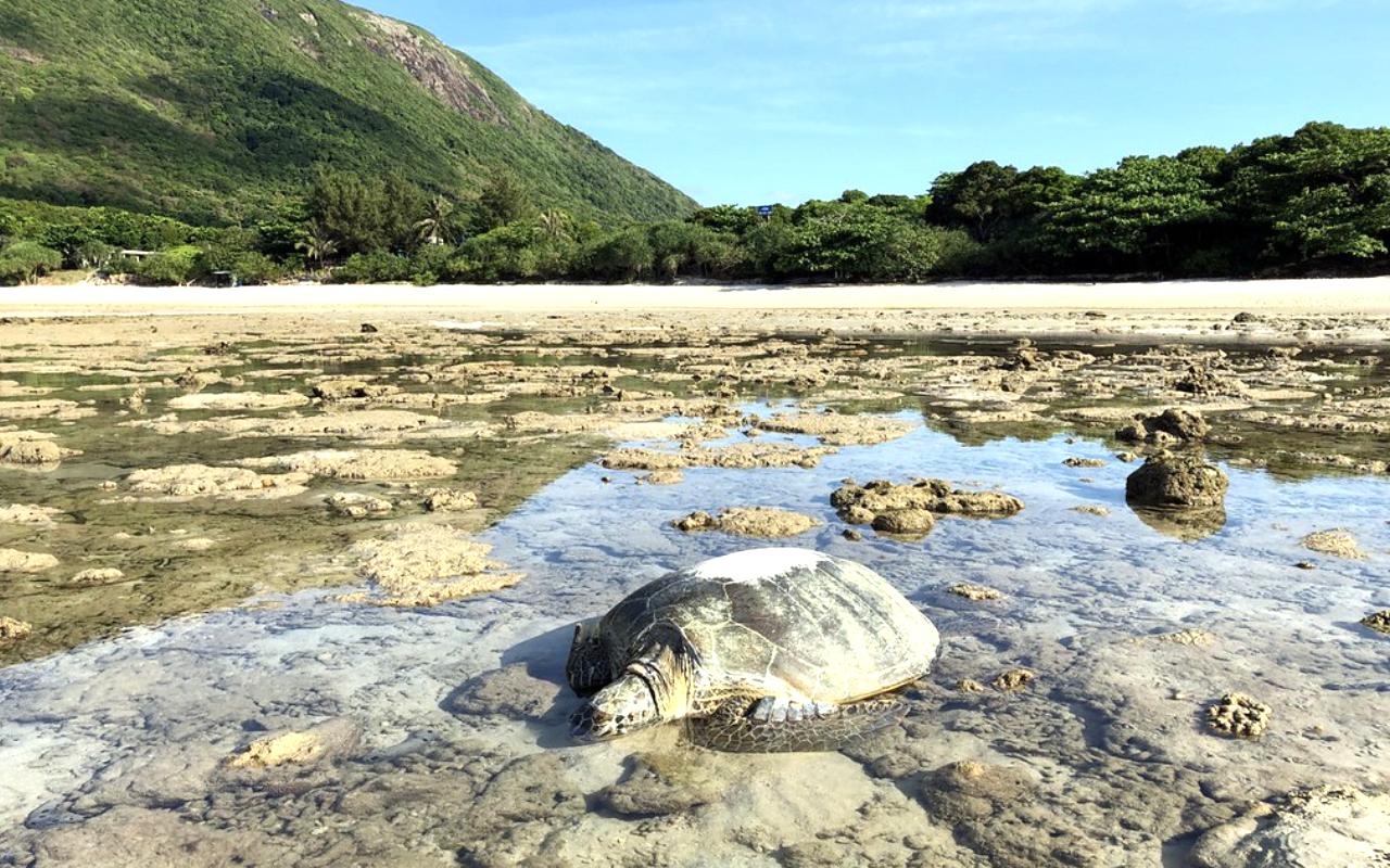Con Dao National Park