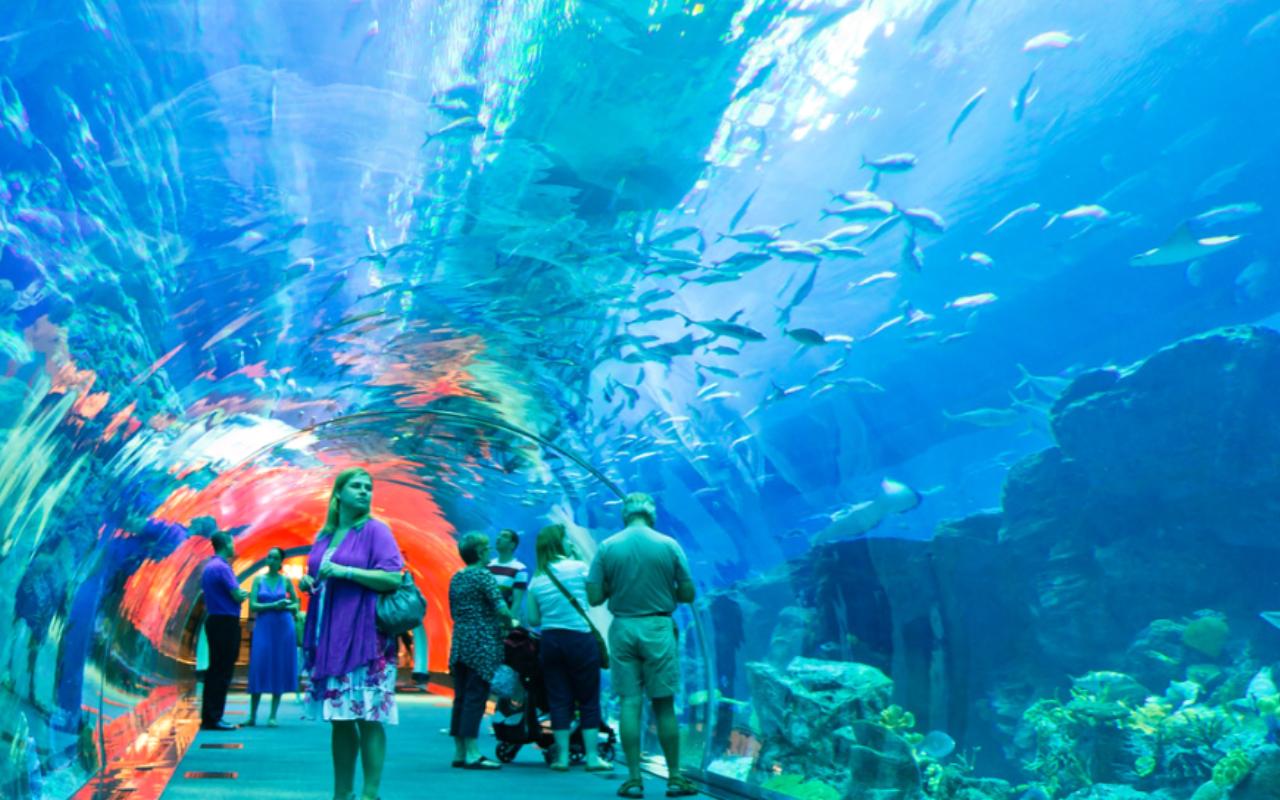 Dubai Aquarium