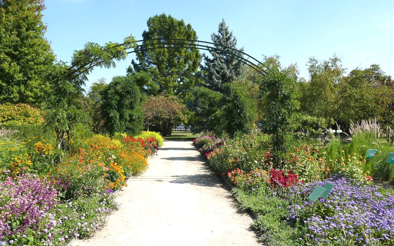 Garfield Park Conservatory