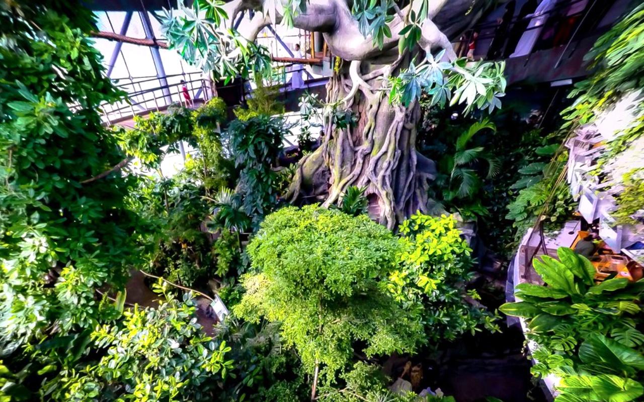 Green Planet