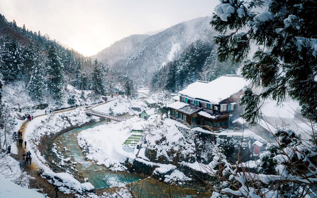 Jigokudani Monkey Park 