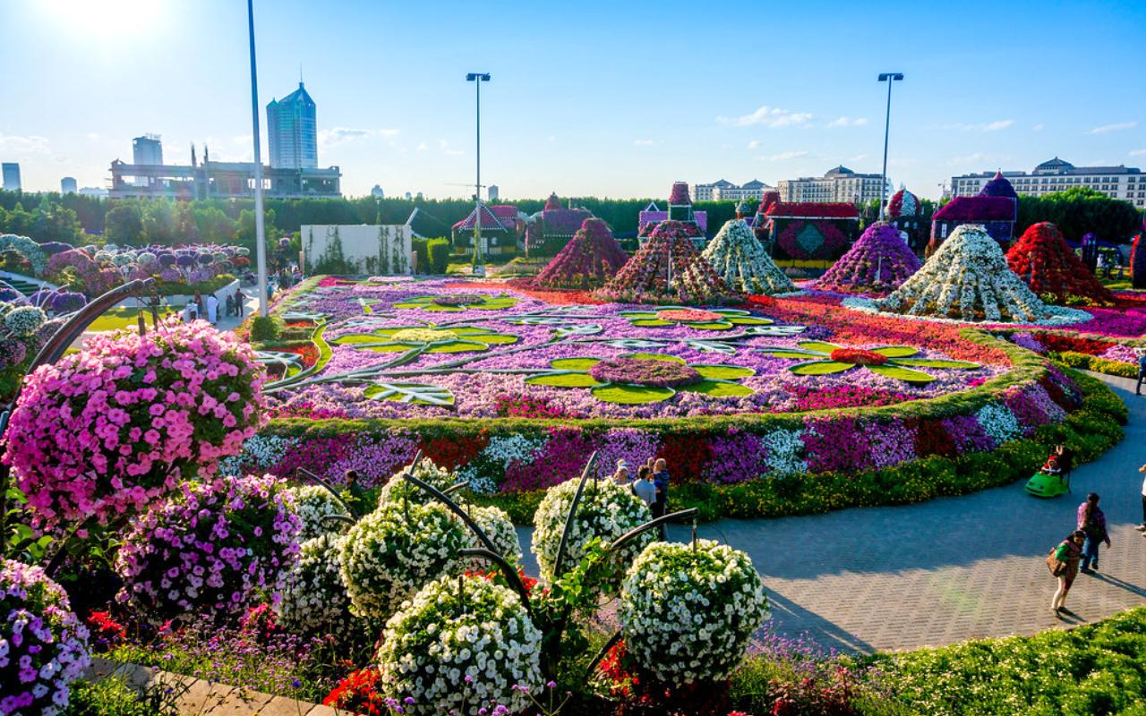 Miracle Garden