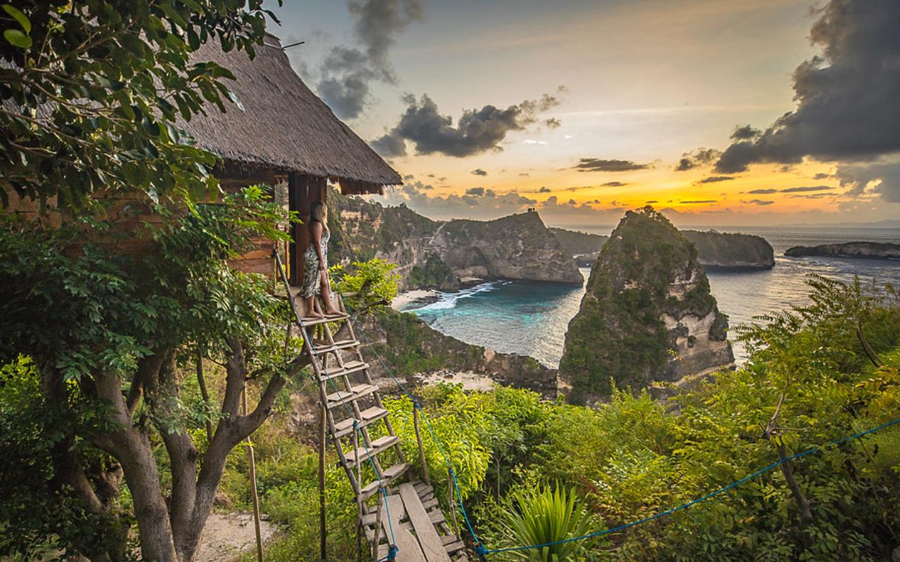 Rumah Pohon Treehouse