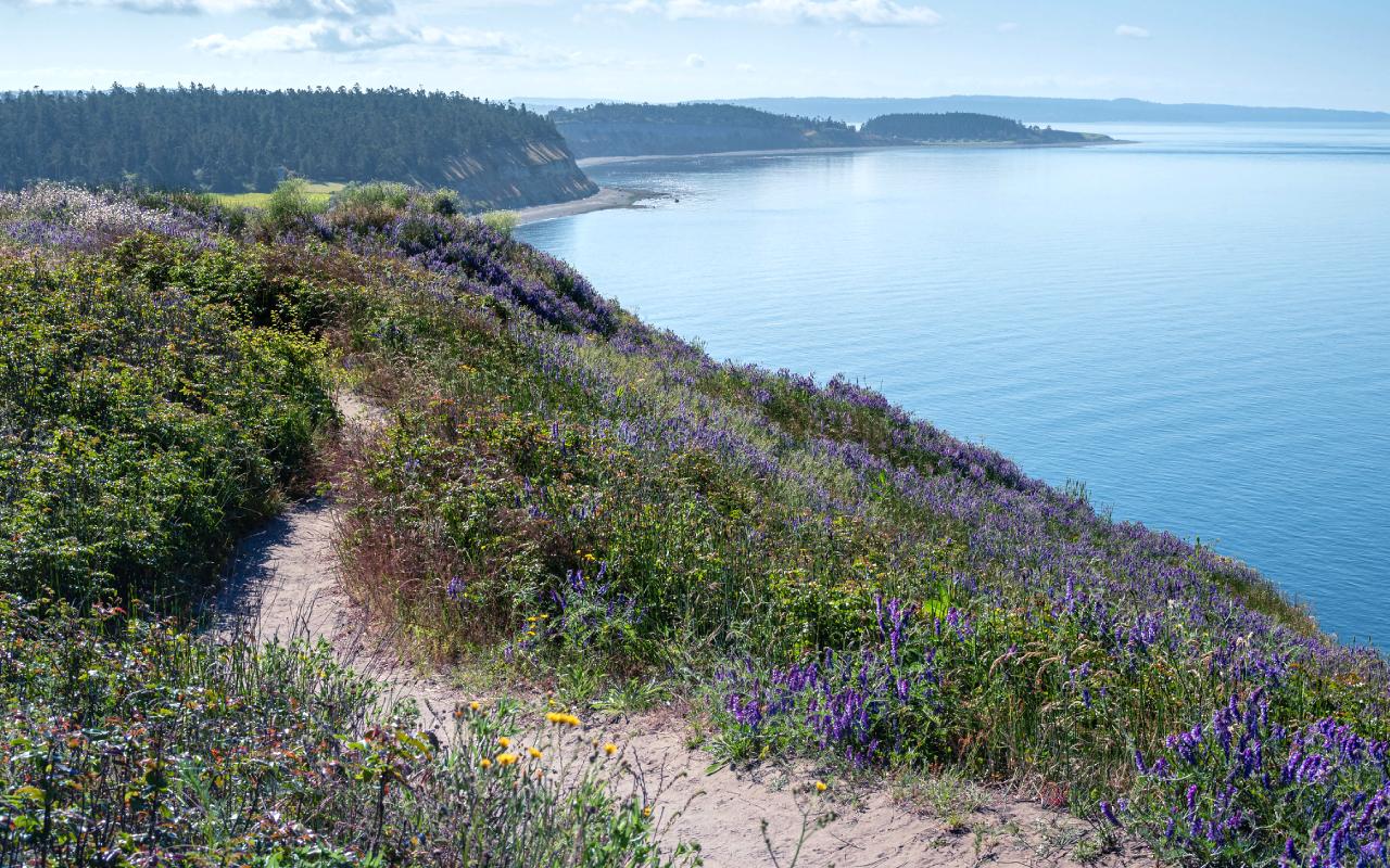 Whidbey Island