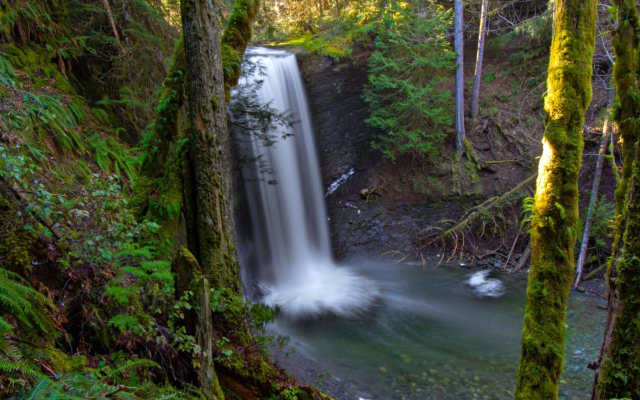Ammonite Falls