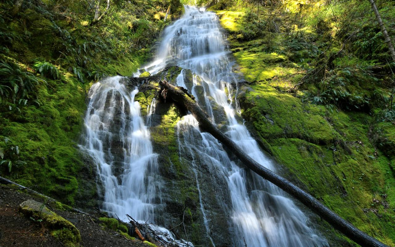 Angel Falls
