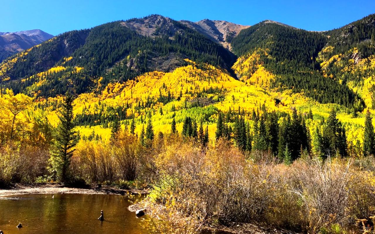 Aspen