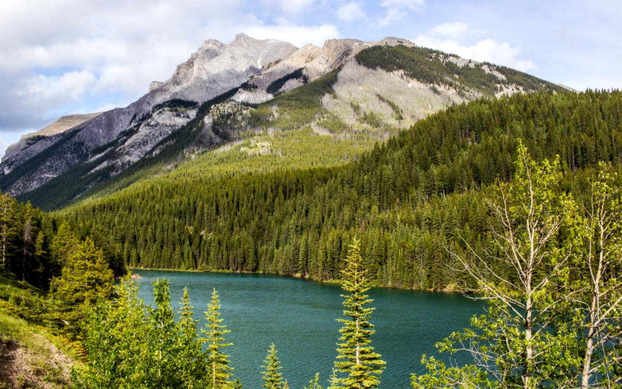 Banff