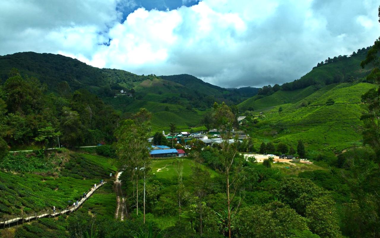 Cameron Highlands