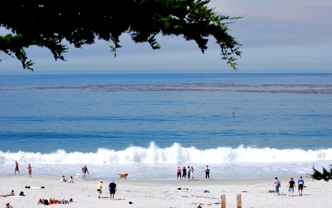Carmel Beach