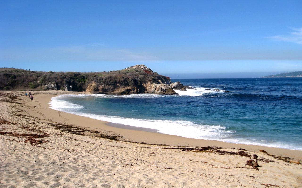 Carmel River State Beach