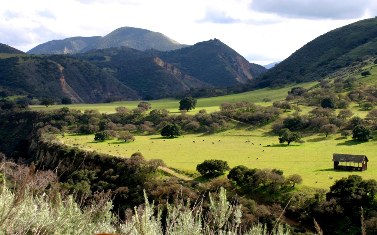 Carmel Valley