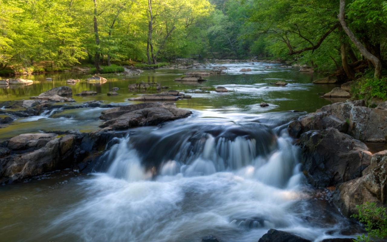 Eno River State Park