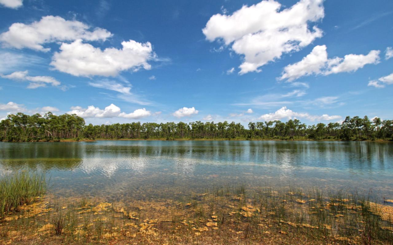 Everglades National Park