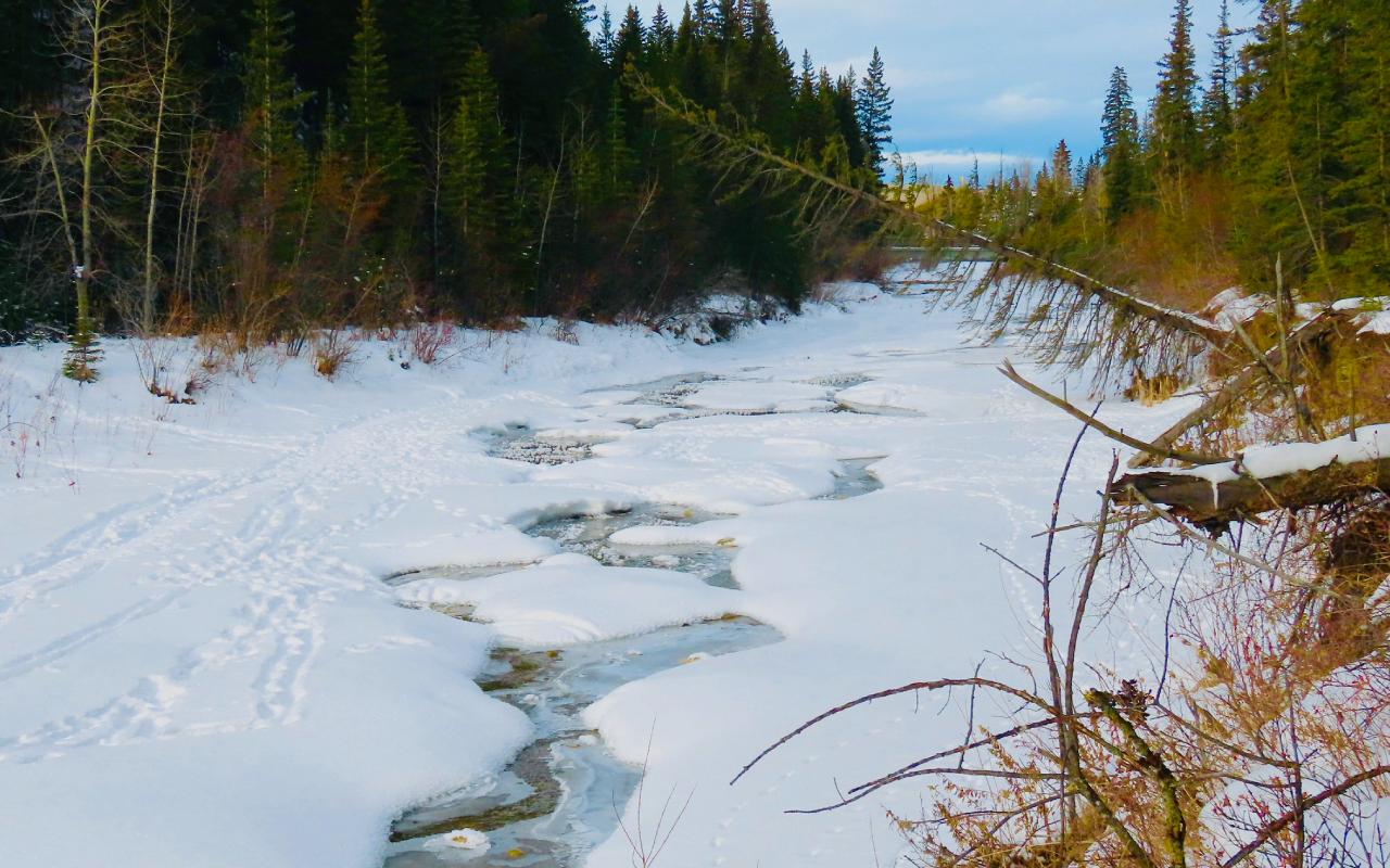 Fish Creek Provincial Park