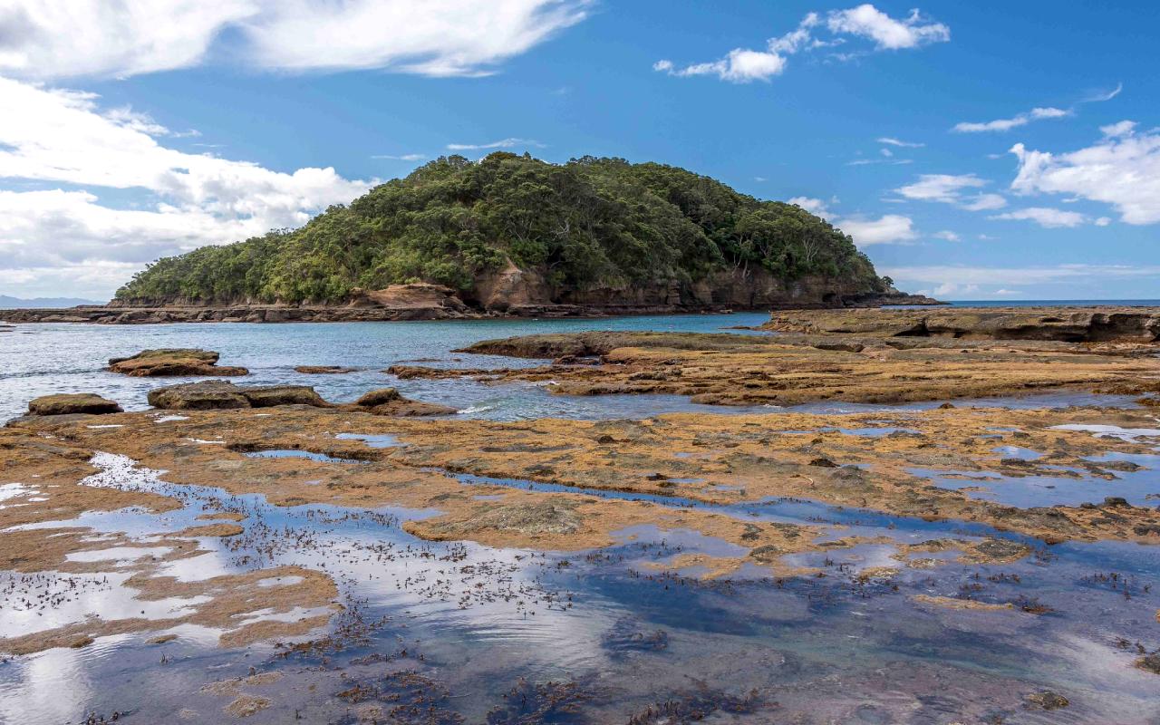 Goat Island Marine Reserve