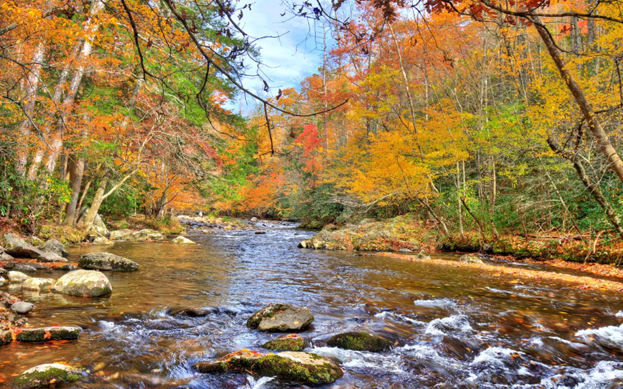 Great Smoky Mountains National Park