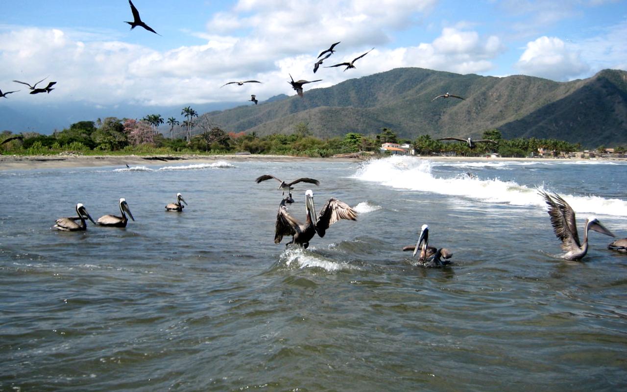 Henri Pittier National Park