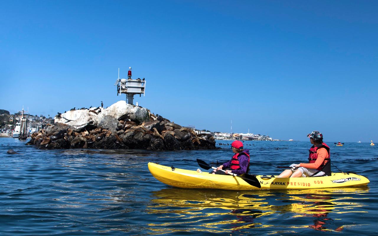 Kayaking Monterey Bay