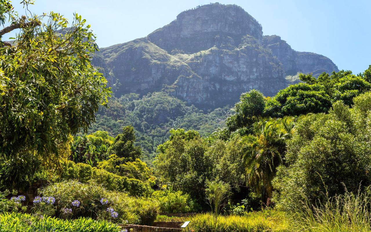 Kirstenbosch National Botanical Garden