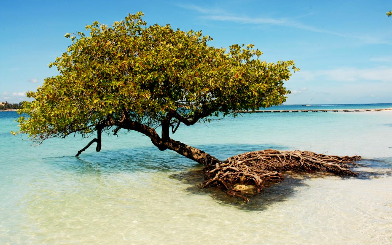 Morrocoy National Park