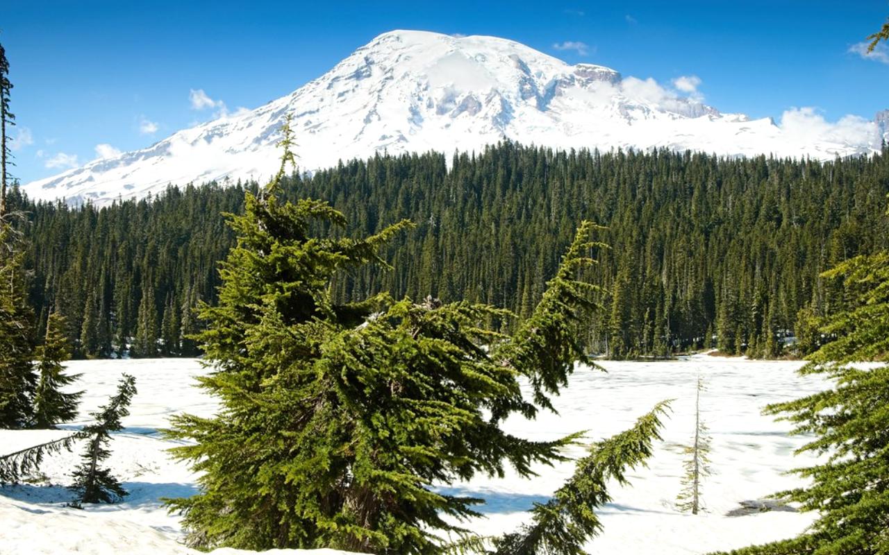 Mount Rainier National Park