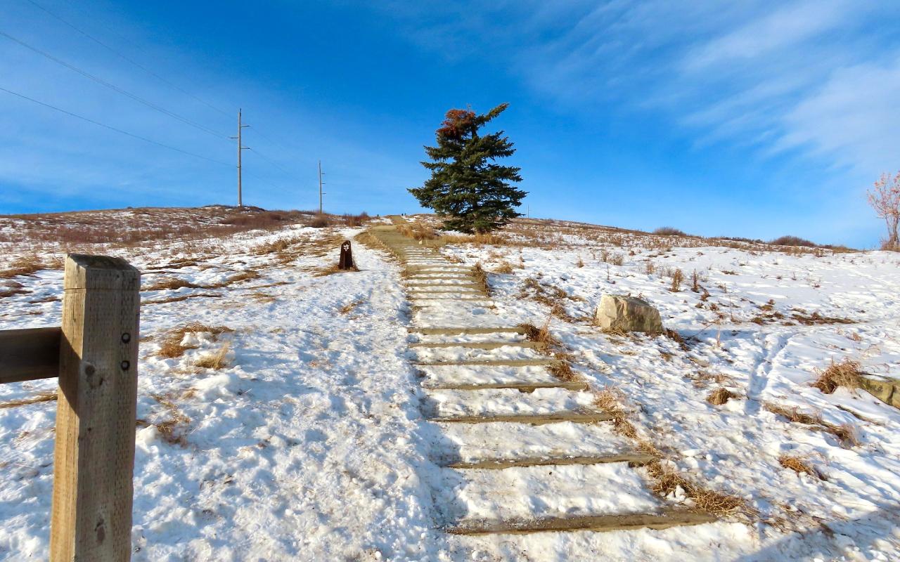 Nose Hill Park