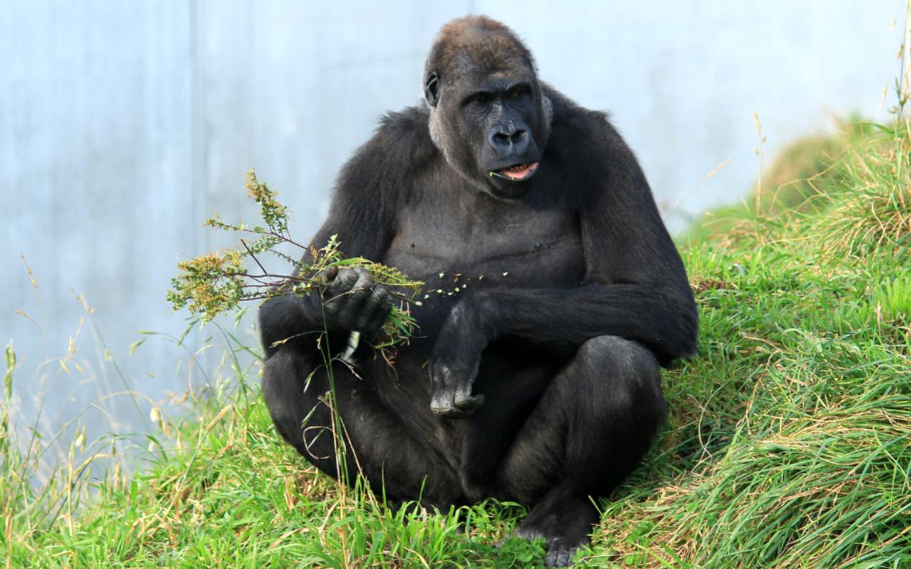 Orana Wildlife Park