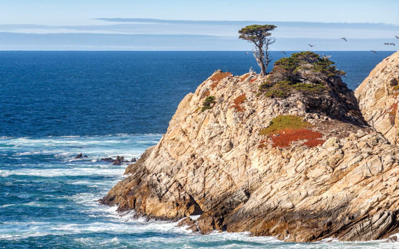 Point Lobos State Natural Reserve