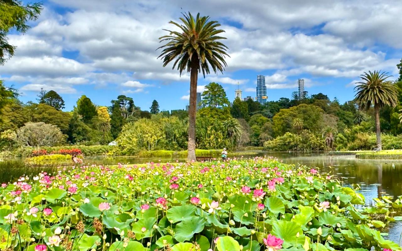 Royal Botanic Gardens