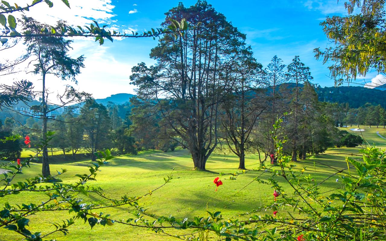 Tanah Rata