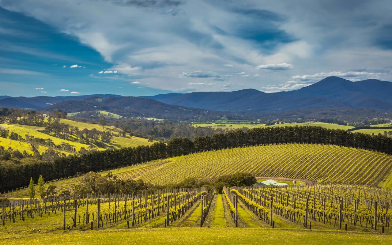 Yarra Valley