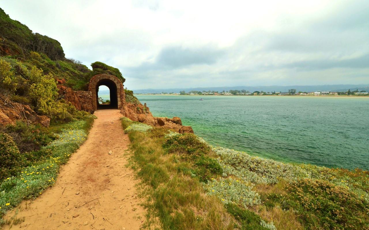 Featherbed Nature Reserve