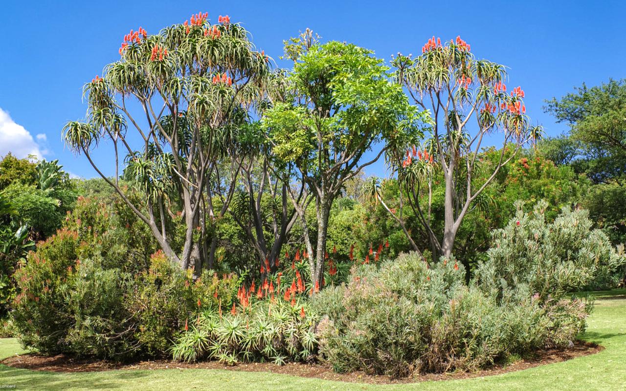 Jan Cilliers Park